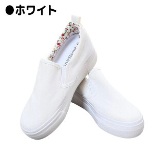 Xj[J[ fB[XC C EhgD  C\[ Cq[ 7cmgAbv Abv r LoX ʋC n RȂ ₷ JWA [Jbg fB[Xt@bV