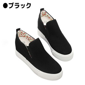 Xj[J[ fB[XC C EhgD  C\[ Cq[ 7cmgAbv Abv r LoX ʋC n RȂ ₷ JWA [Jbg fB[Xt@bV