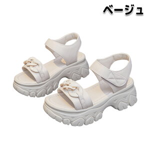 X|[cT_ rbgT_  T}[V[Y fB[X V[Y  JWA EhgD Xgbv ʃt@Xi[ EGbW\[ 5.5cmq[ gAbv Abv X