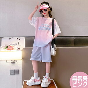 q ZbgAbv WjA c̕ ㉺2_Zbg ̎q X|[cEGA g[jOEGA jtH[  d˒ C[h W[W TVc Y{ n[tpc oXPbg{