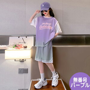 q ZbgAbv WjA c̕ ㉺2_Zbg ̎q X|[cEGA g[jOEGA jtH[  d˒ C[h W[W TVc Y{ n[tpc oXPbg{