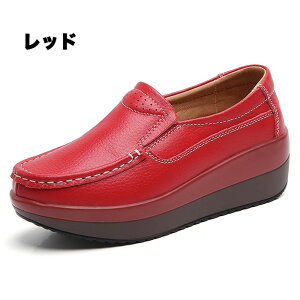 [t@[ pvX  Xb| Xb| Xj[J[ ₷ C r i 5cmq[  芴  킢 Vv Ȃ vf ʋC gAbv z