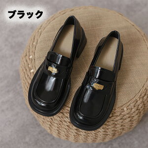 [t@[ C fB[X EhgD  C q[ 6cmq[  U[V[Y q[ U[ PU   _炩 [hn 肵q[ ItBX w Ǝ  