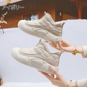 Xm[V[Y fB[X [gV[Y hC  l JWA ₷ ɂȂ _炩  N {A h h ۉ gC  y ~ V C 