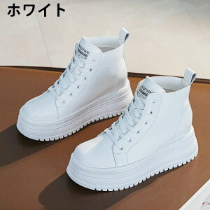 V[gu[c nCJbgXj[J[ fB[X Xj[J[ Cq[ 8cmq[ gAbv r r ҂ݏグ ₷ ɂ y q[ JWA ʋ ʊw f