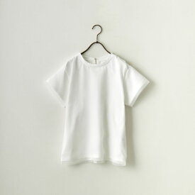 【送料無料】 MICA&DEAL マイカアンドディール オーガンジーレイヤードTシャツ 0123209087 レディース トップス 半袖 F 全3色