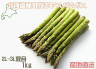 極太グリーンアスパラガス 2L〜3Lサイズ1kg プレミアム 自社農園より直送！ 露地 北海道産アスパラガス北…