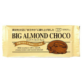 【10個セット】創健社　ビッグアーモンドチョコ　400g [今季製造]