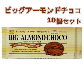 【10個セット】創健社　ビッグアーモンドチョコ　400g