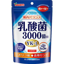 【送料一律200円】乳酸菌粒　90粒（山本漢方）