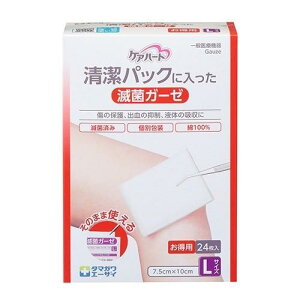 yꗥ540~zPAn[g@pbNɓŋۃK[[L@24iʐqށj