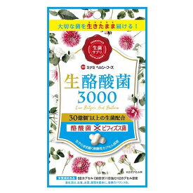【送料200円】ミナミヘルシーフーズ　生酪酸菌3000　60カプセル