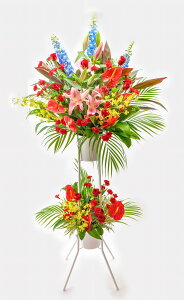 y܂jp2iX^hԁ@Deluxe`fbNX`@zJXjEVzjEړ]jE\ERT[gjEaEoWjE܏jȂ