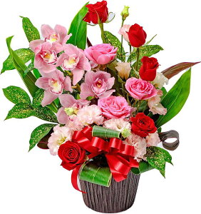 Viy؂ȃAWEozjEaEjEoYjEړ]jEJXjEJƏjELOEE\EG߂̂ԁEԂv[gElEo