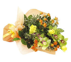 yVrWE@ԑzjEaEjEoYjEJXjELOEE\EG߂̂ԁEސEjEhV̓EwjȂǁB