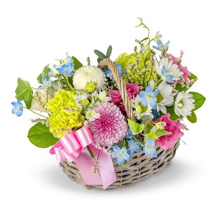 2024NViypXenAWz}̓EjEaEjEoYjEړ]jEJXjEJƏjELOEE\EG߂̂ԁEԂv[