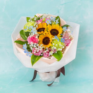 2025NViyF~bNXnEu[PԑzjEaEjEoYjEJXjELOEE\EG߂̂ԁEԂv[gElEo^CE