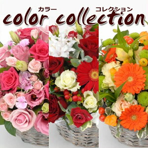 8250~IDȐFIщ􂨉ԉɂ܂IjEaEjEoYjEJXjELOEE\ElȂǁB