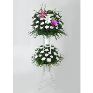 [ʖEʎ̋]n敗K֏̎wɍ킹Ă͒v܂BiFF-002j