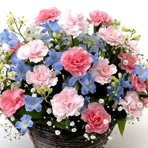 ysNu[J[EAWEJ[l[VzjEaEjEoYjEJXjELOEE\EG߂̂ԁEԂv[gElEo^