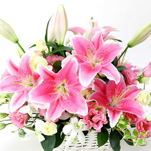 ysNJ[EAWEzjEaEjEoYjEJXjELOEE\EG߂̂ԁEԂv[gElEo^CEzCgf[