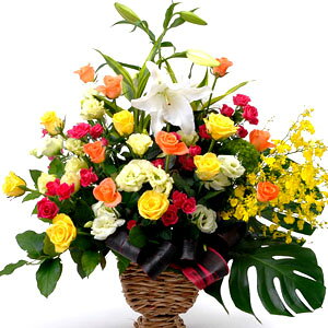 y؂ȃAWEoEzjEaEjEoYjEړ]jEJXjEJƏjELOEE\EG߂̂ԁEԂv[gElEo^