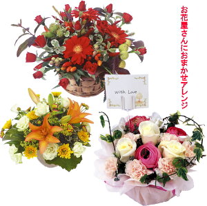 yzBE܂jpAWEWXg5000~zjEaEjEoYjEJXjELOEE\ȂǁB