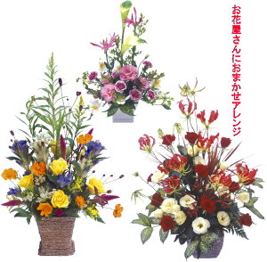 yzBE܂jpAWzjEaEjEoYjEJXjELOEE\EijȂǁB