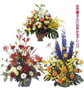 yzBE܂jpAWzjEaEjEoYjEJXjELOEE\EijȂǁB