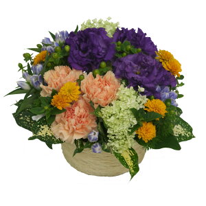 yIWp[vn@AWzjEaEjEoYjEJXjELOEEE\EG߂̂ԁEԂv[gECxg