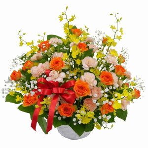 yKĂԉF̗zjEaEjEoYjEJXjELOEE\EG߂̂ԁEw|EH̃t[MtgEސEjEhV̓ȂǁB