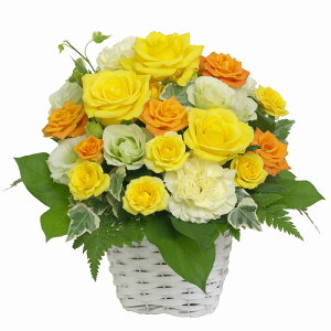 y^ƍK^ԃAWzjEaEjEoYjEJXjELOEE\EG߂̂ԁEH̃t[MtgEސEjEhV̓ȂǁB