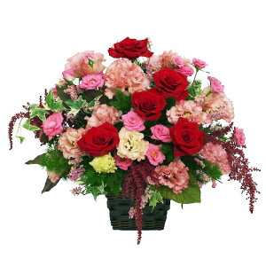 yԁEsNJ[EAWE[YzjEaEjEoYjEJXjELOEE\EG߂̂ԁEԂv[gElEo^CEސEjE