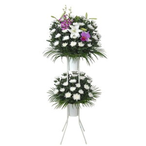 yzBEpX^hԓizVEEʖEʎEE݂ȂǁBn̕Kɍ킹Ă͂v܂B܂̒nLB