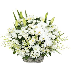 yԃAWEa+mԁzԁEE݁EE@EEOEVE~Eފ݂Ȃ