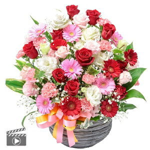 yoEAWzjEaEjEoYjEړ]jEJXjEJƏjE̓ELOEE\EG߂̂ԁEԂv[gElEo^C