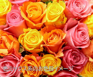 yoEAWzjEaEjEoYjEړ]jEJXjEJƏjE̓ELOEE\EG߂̂ԁEԂv[gElEo^C