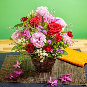 ya_AWzjEaEjEoYjEJXjELOEE\EG߂̂ԁEw|EH̃t[MtgEސEjEhV̓ȂǁB