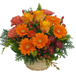 yIWEK[xEAWzjEaEjEoYjEJXjELOEE\EG߂̂ԁEԂv[gElEo^CEzCgf[