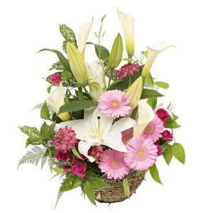 yt̂ԁEEJ[zjEaEjEoYjEJXjELOEE\EG߂̂ԁEԂv[gElEo^CEzCgf[EސEjE