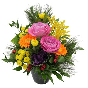  ԁEAWgE[}tp][N][VNp][Ε]yziNY-036j