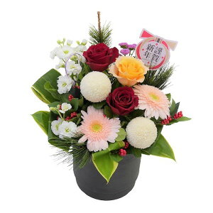  ԁEAWgE[}tp][N][VNp][Ε]yziNY-029j