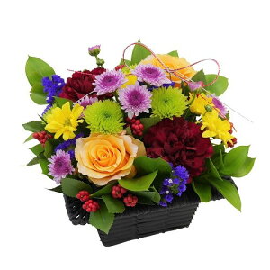  ԁEAWgE[}tp][N][VNp][Ε]yziNY-030j