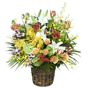 y؂ȃAWEoEzjEaEjEoYjEړ]jEJXjEJƏjELOEE\EG߂̂ԁEԂv[gElEo^