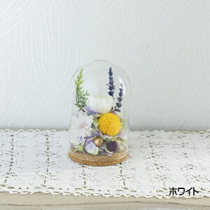 vU[uht[ARosieA䋟AMtgAv[gAdAւsvAvUAIׂ2F@`̂`