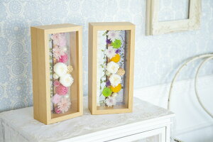 vU[uht[ARosieA䋟AMtgAv[gAdAւsvAvUAIׂ2F@`݂`