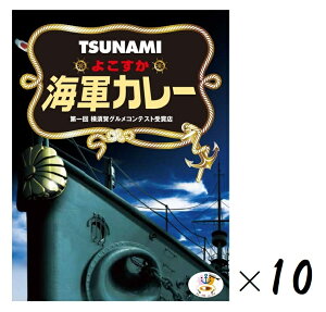 i10Zbgj TSUNAMI 悱CRJ[200giA1lOj×10ioE܂Ƃߔjigg J[ r[tJ[ XJ[ Ȃ Ôg ֓ _ސ { 