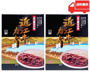 �i�S�����������E2���Z�b�g�j�ߍ]���J���[ ���h 200g�i�����A1�l�O�j×2���i�܂Ƃߔ����E�l�ߍ��킹�j��璹�{�� ���s�璹�{�� ���g���g �r�[�t�J���[ �a���� �u�����h�� �ʂ˂� ���y�Y ��