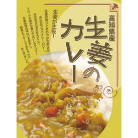 （全国送料無料・2箱セット）高知県産生姜のカレー200g×2箱高知県特産品販売（ショウガ ジンジャー 生薬 漢方 薬膳 野菜 カレー）（レトルト・全国こだわりご当地カレー）（四国・高知ご当地カレー）≪ギフト・日時指定不可≫