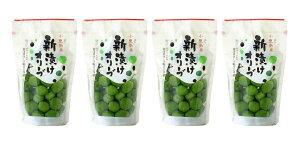 iSE4܃ZbgjmI[u Y VЂI[u 80giܓj×4܁yGߐʌziI[u  gA V Ђ I[u̎ ʎ 쌧S  S